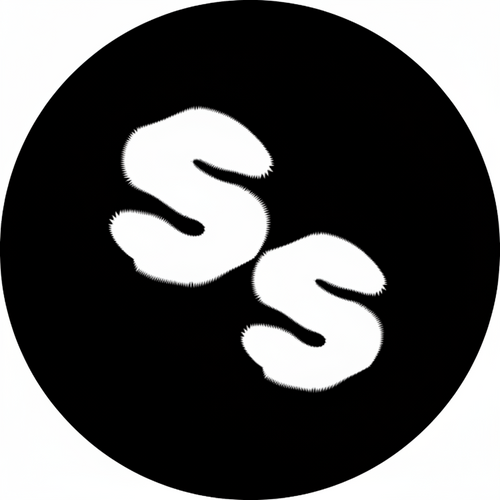 Saikou Store